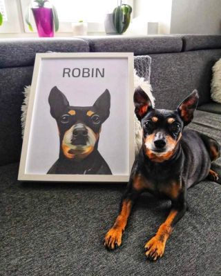 Portrét tvého CHLUPÁČE ❤️🤩 Je to jednoduché: 1) Pošli nám fotku svého psa 2) Vyber si jedno z 12 pozadí 3) A zbytek nech...